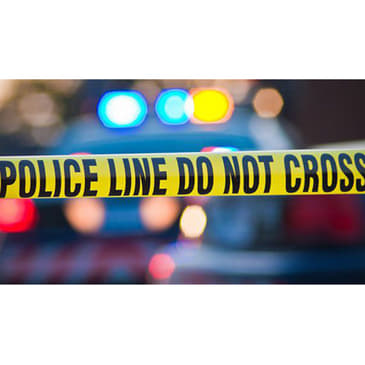 Murder In Memphis & Illinois Insanity—How to Reclaim Our Country from Violent Crime