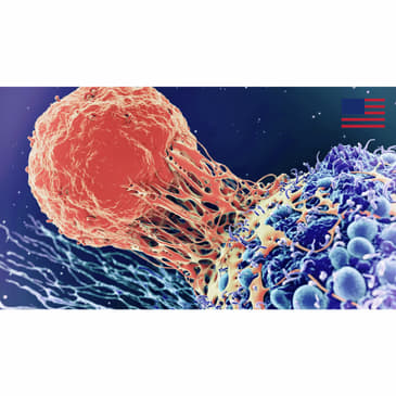 Is The Cure To Cancer Right in Our Lap?