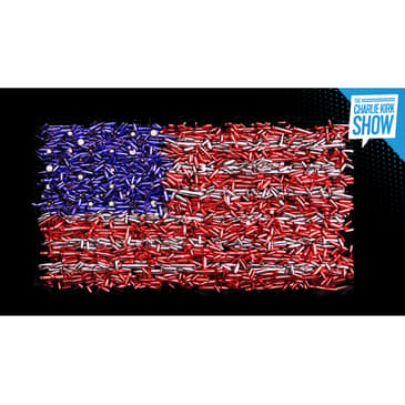 Unearthing the Dark, Uni-Party Push to Disarm America