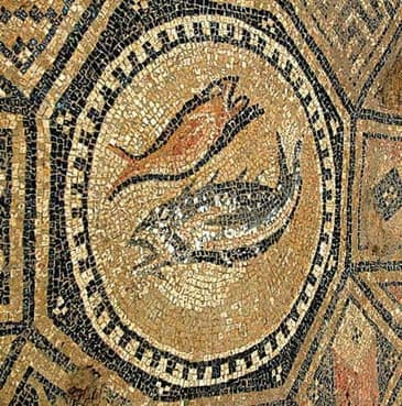 26-Y en el Oriente parte 2