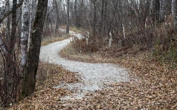 79-The Long Road to Reform 04