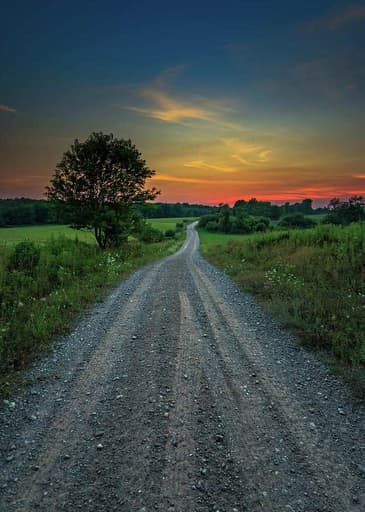 76-The Long Road to Reform 01