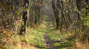 80-The Long Road to Reform 05