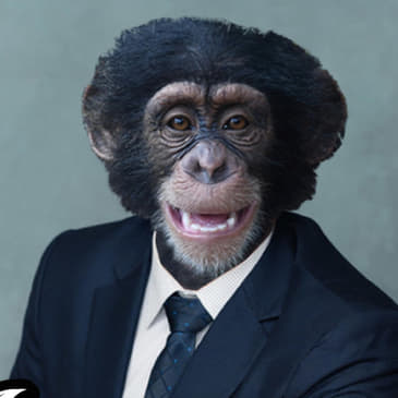 Average Intelligence Productions