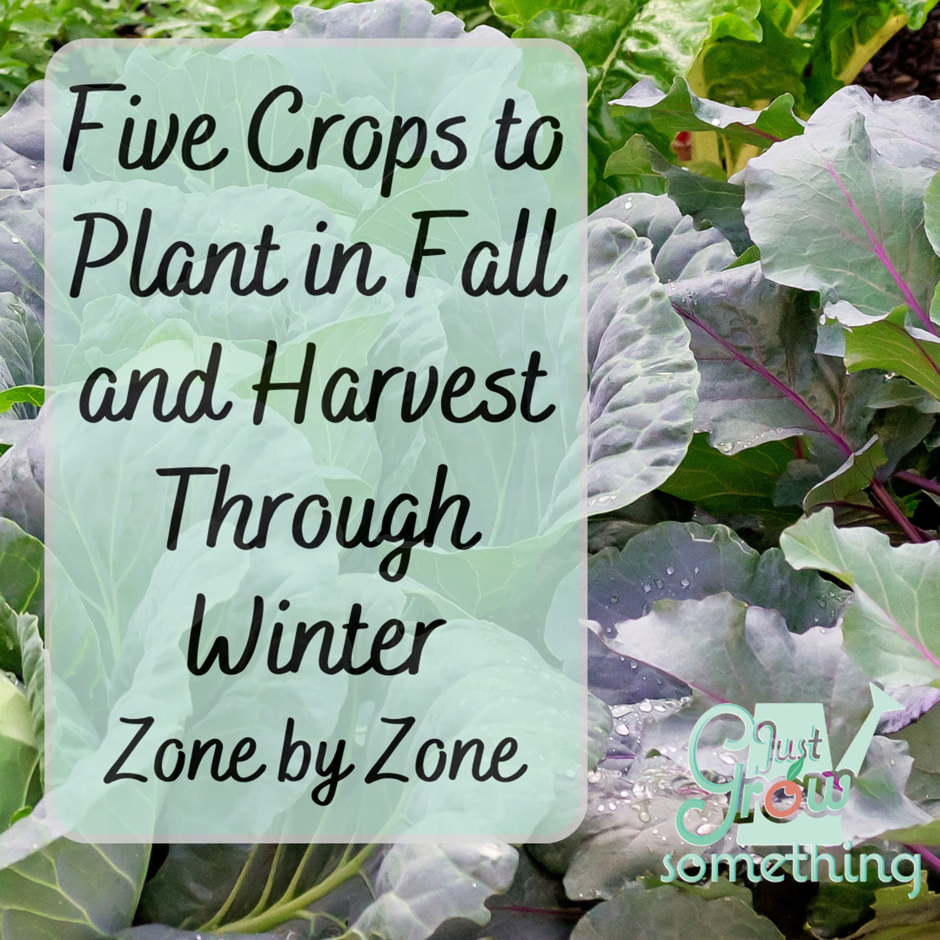 Five Crops to Plant in Fall for Winter Harvest, Zone by Zone - Ep. 163 ...