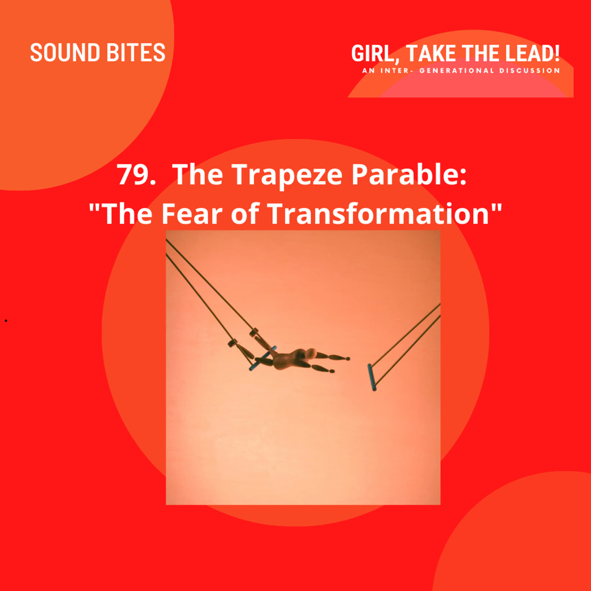 79. Sound Bite: Trapeze Parable - Warriors of the Heart by Danaan Parry ...
