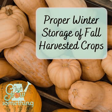 Fall Food Storage Winter Produce Storage: Tips for Keeping Your Fall Harvest Fresh ...