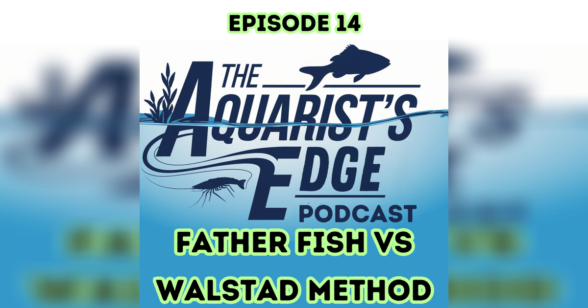 Father Fish vs Walstad - Which Method Should You Use? | The Aquarist's ...