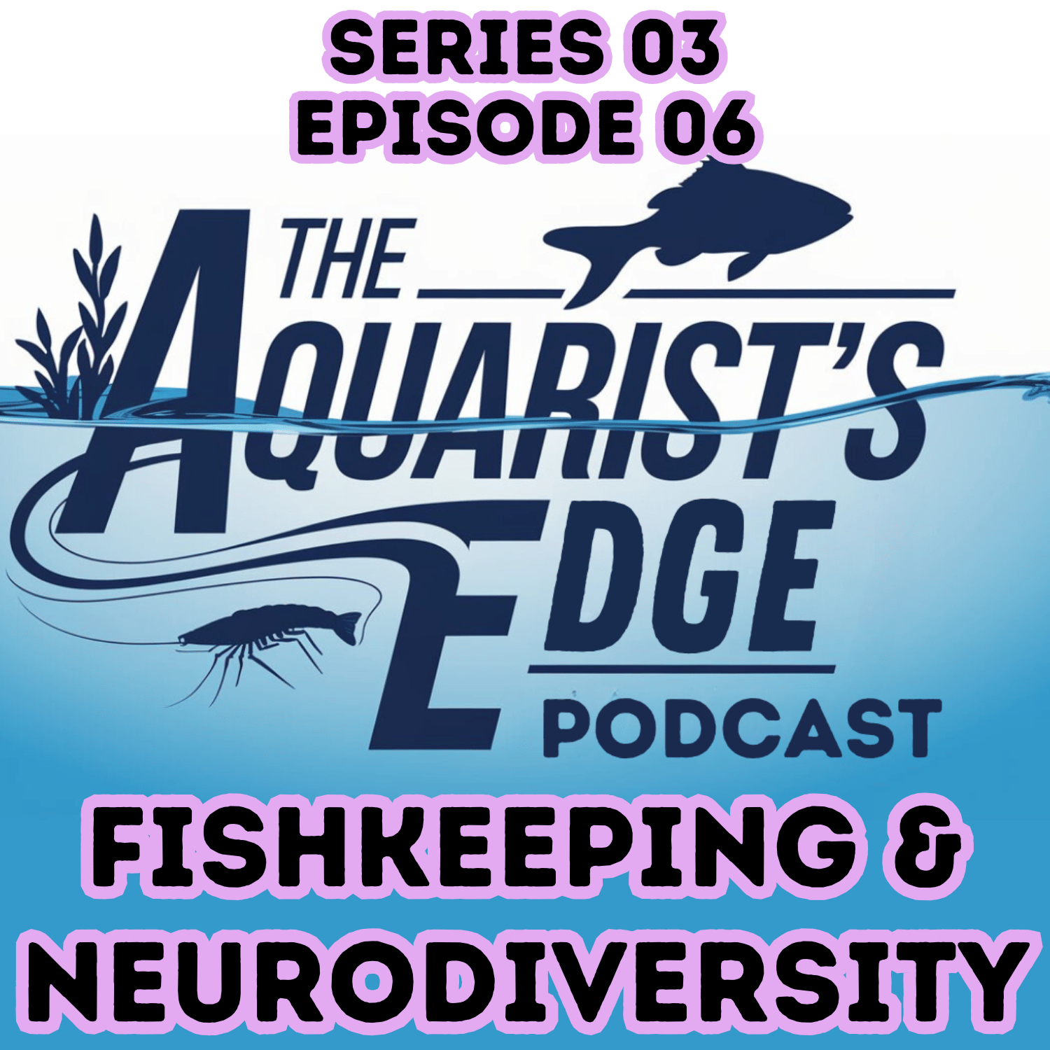Fishkeeping & Neurodiversity: Why Aquariums Calm ADHD/Autistic Brains ...