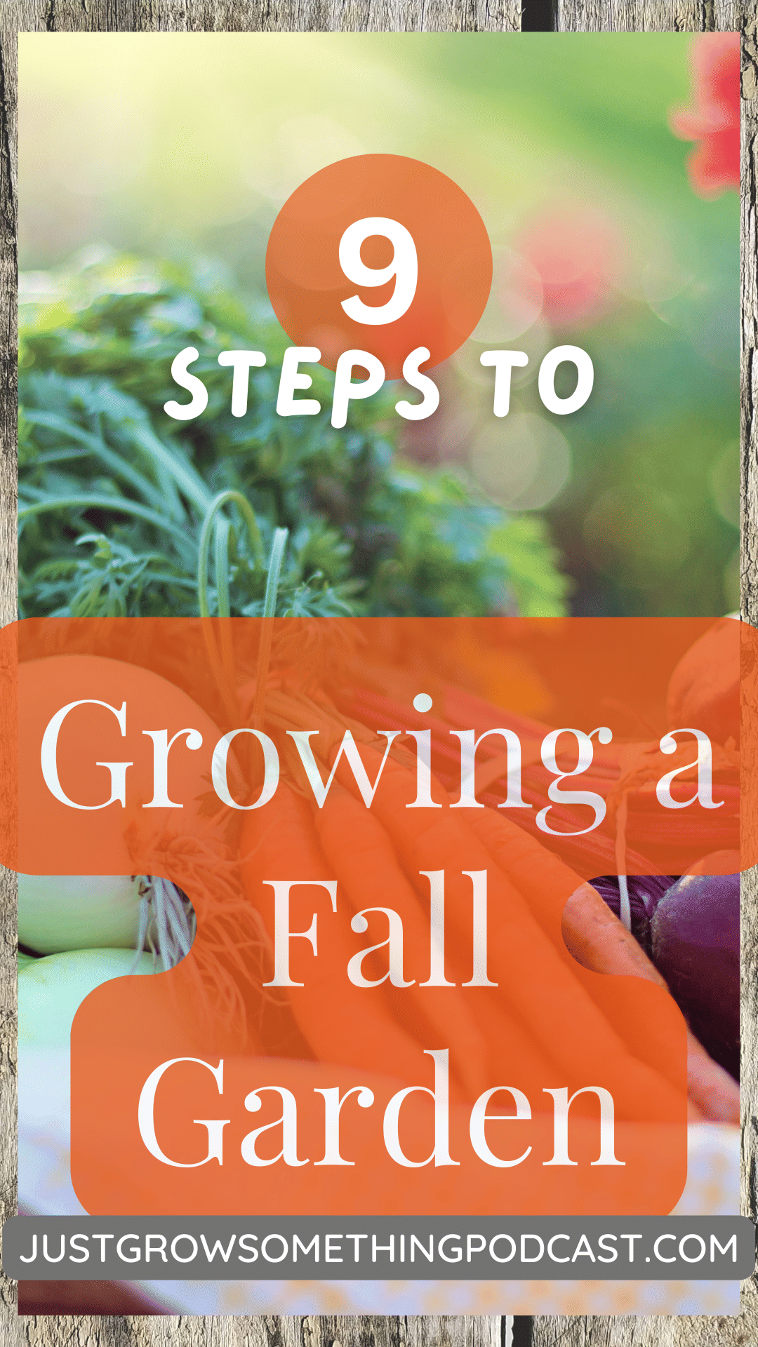 Steps For Growing a Fall Garden | Just Grow Something with Karin Velez