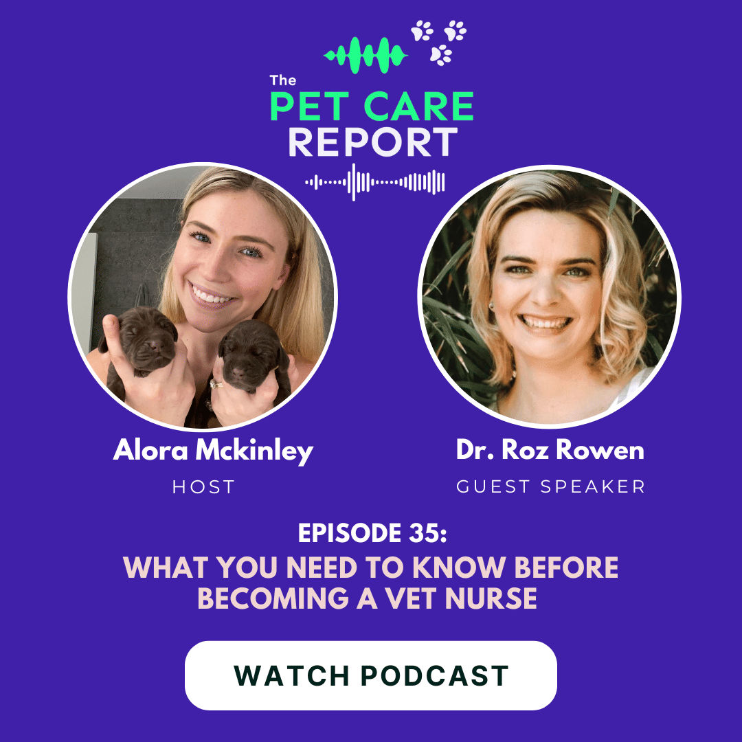 Dr. Roz Rowen: What You need to know before becoming a Vet Nurse | E35 ...